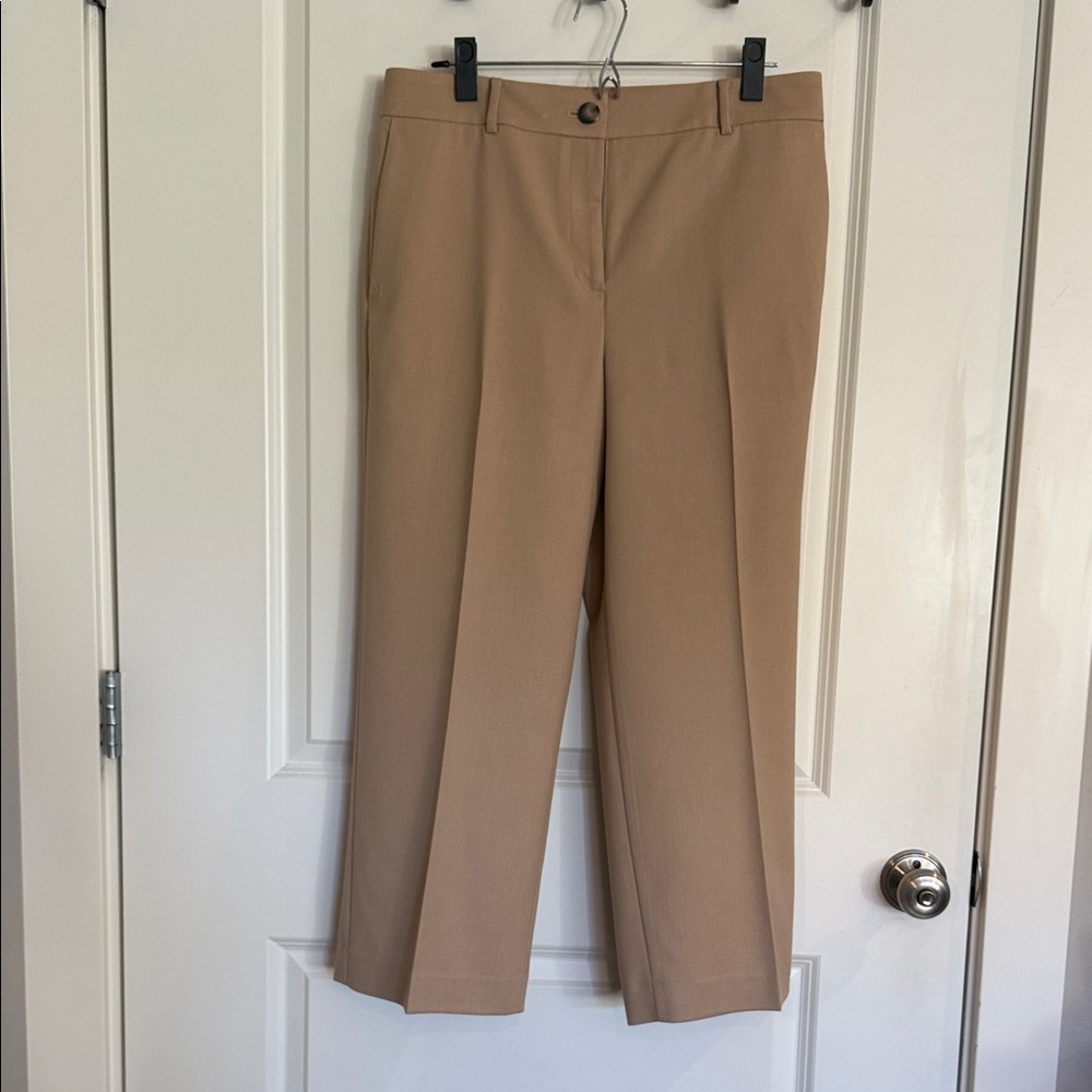 Ann Taylor Tan Trousers
